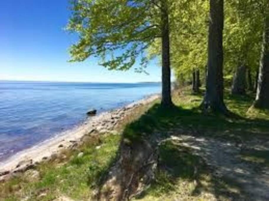 Aarhus 115 Lägenhet Exteriör bild
